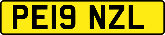 PE19NZL