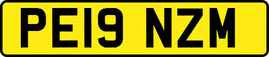 PE19NZM