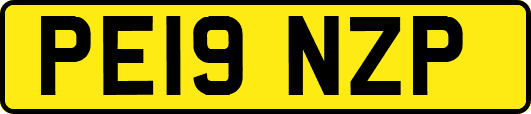 PE19NZP