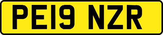 PE19NZR