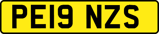 PE19NZS