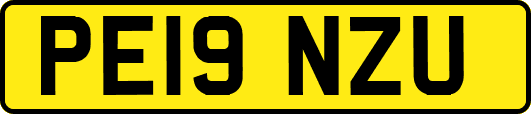 PE19NZU