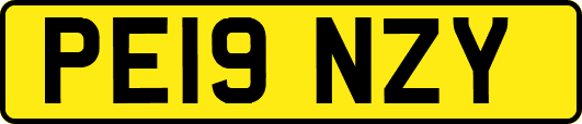 PE19NZY