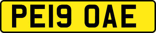 PE19OAE
