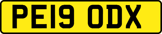 PE19ODX