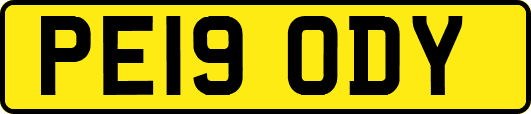 PE19ODY