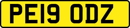 PE19ODZ