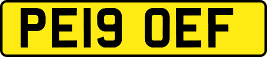 PE19OEF