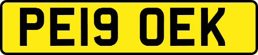PE19OEK