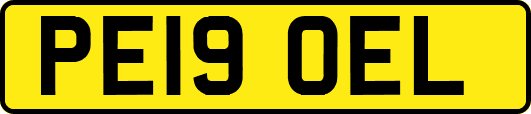PE19OEL