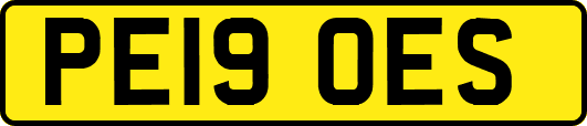 PE19OES