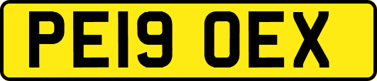 PE19OEX