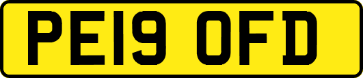 PE19OFD