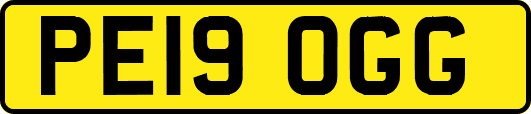 PE19OGG