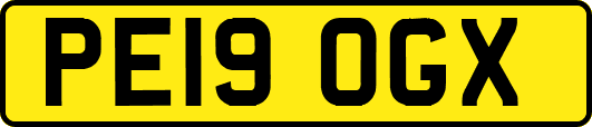 PE19OGX
