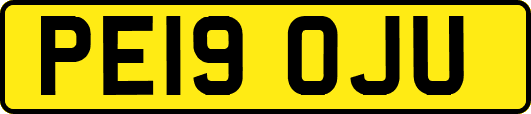 PE19OJU