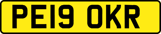 PE19OKR