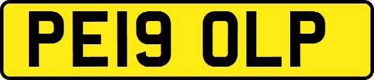 PE19OLP