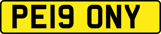 PE19ONY