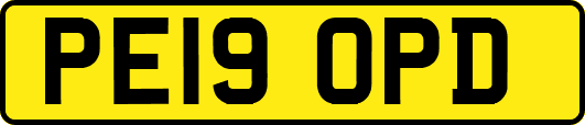 PE19OPD