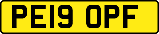 PE19OPF