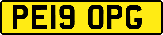 PE19OPG