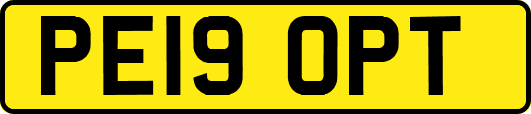 PE19OPT