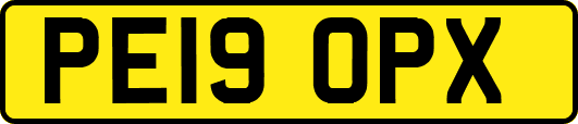 PE19OPX