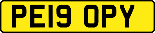 PE19OPY