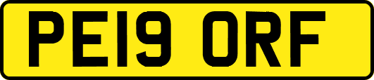 PE19ORF