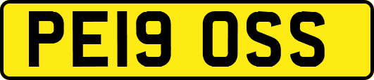 PE19OSS