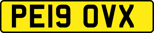 PE19OVX