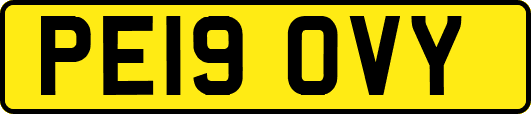 PE19OVY
