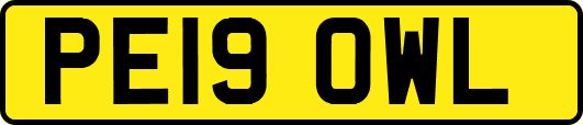 PE19OWL