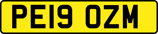 PE19OZM