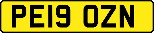 PE19OZN