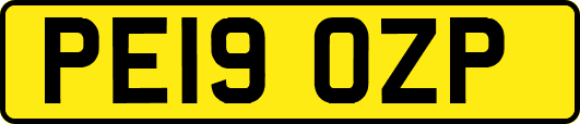 PE19OZP