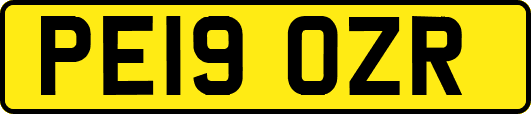PE19OZR