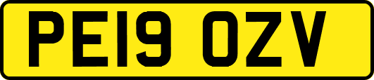 PE19OZV