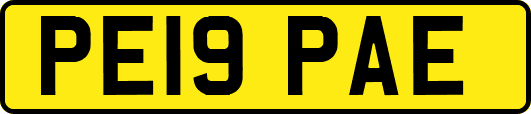PE19PAE
