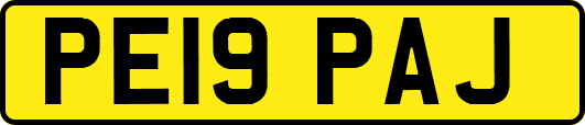 PE19PAJ