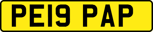 PE19PAP