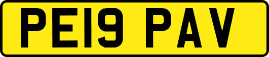 PE19PAV