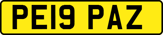 PE19PAZ