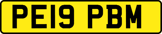 PE19PBM
