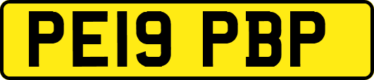 PE19PBP
