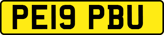 PE19PBU