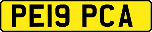 PE19PCA