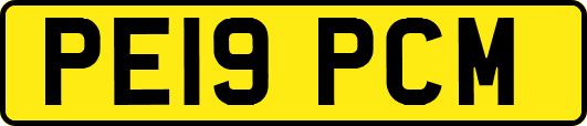PE19PCM