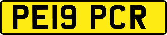 PE19PCR